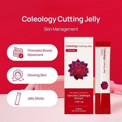 Korean Cutting Jelly